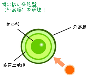 メカニズム ステップ01