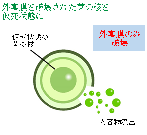 メカニズム ステップ02