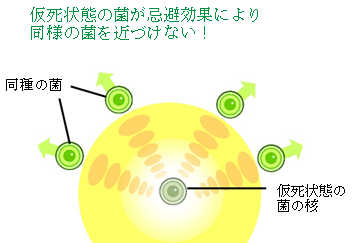 メカニズム ステップ03