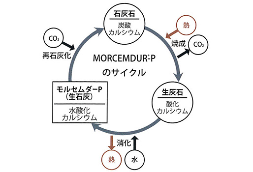 モルセムダーのサイクル