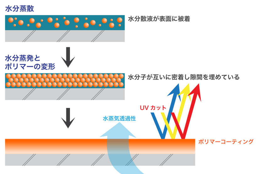 高分子バリア形成過程の図